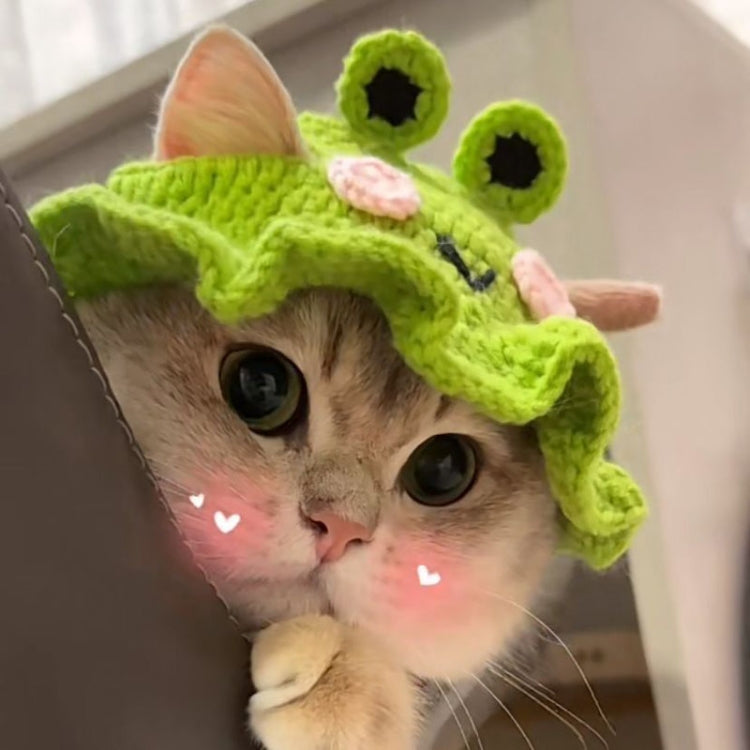 Pet Headgear Props Cats And Dogs Knitted Hat Headwear, S, M