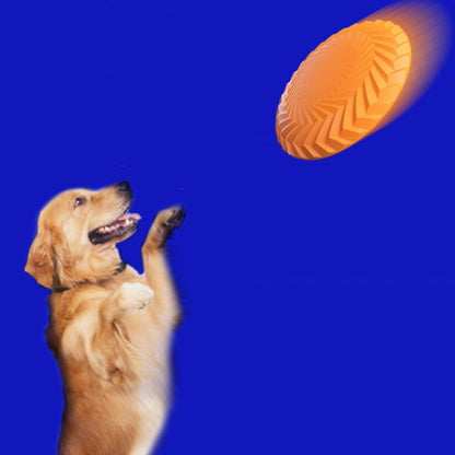 Pet Toys Dog Training Interactive Bite Resistant Floating Discs