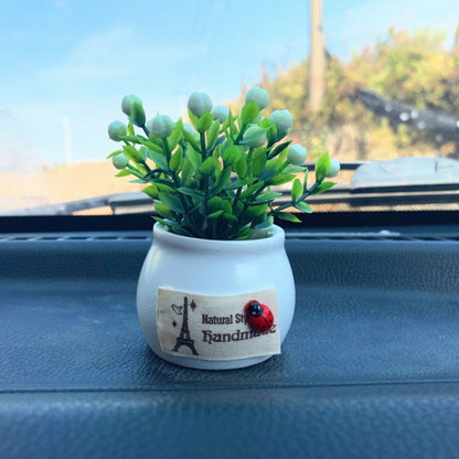 Mini Car Potted Ornaments Decoration Simulated Flower Pots, Lucky Fruit White Bottle, Lucky Fruit Black Bottle, Stop Talking Jar, Zen Jar