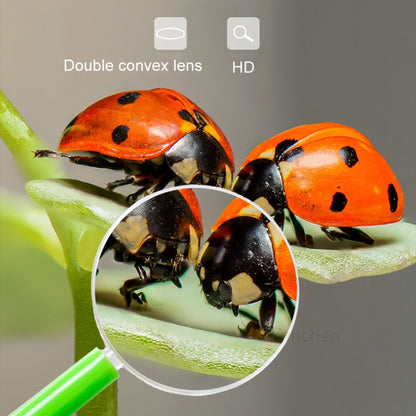 4pcs 40mm 3X Plastic Acrylic Lens Children Teaching Magnifier Color Handle Magnifying Glass, Color Random Delivery, 40mm 3X