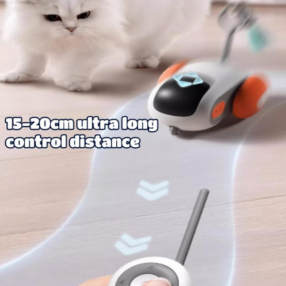Remote Control Intelligent Dual Mode Electric Gravity Running Car Cat Toys