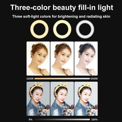 YRing48 4-Inch 48LEDs Laptop Camera Video Conference Live Beauty Ring Fill Light, Clip Set, Clip with Tripod