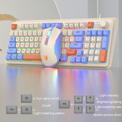 XUNSVFOX K820 Wired Gaming Mechanical Feeling 94 Keys Keyboard And Mouse Set