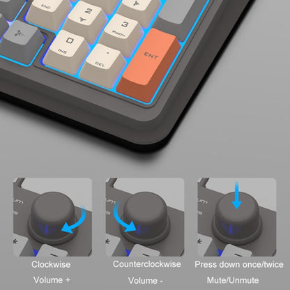 XUNSVFOX K820 Wired Gaming Mechanical Feeling 94 Keys Keyboard And Mouse Set