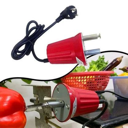 220-240V AC Barbecue Motor Outdoor Picnic Grill Rotary Motor, FD801B