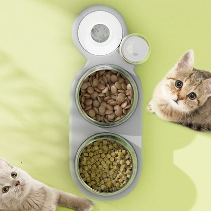 Cats 3 In 1 Bowl Automatic Water Dispenser Anti Spill Large Bore Tilt Pet Food Bowl, Green, White, Grey