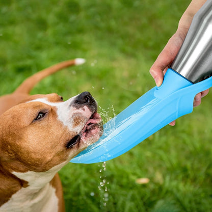 Pet Outing Stainless Steel Folding Water Bottle Outdoor Portable Drinking Fountain, Light Blue, Grey, Dark Green