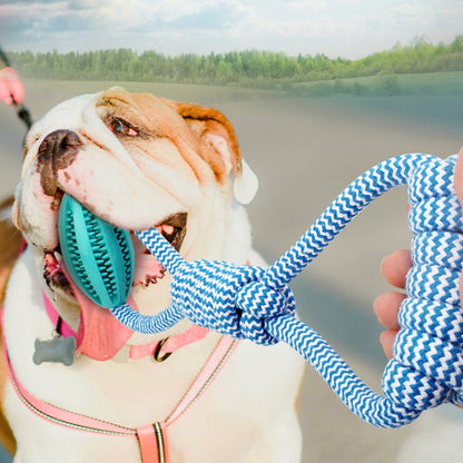 Pet Dog Toys Cotton Rope Hand Pull Leakage Food Ball Teeth Cleaning Toys
