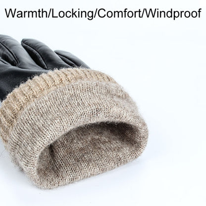 Autumn And Winter Padded Leather Gloves Business Simple Outdoor Sports Warm Gloves, S, M, XL, L
