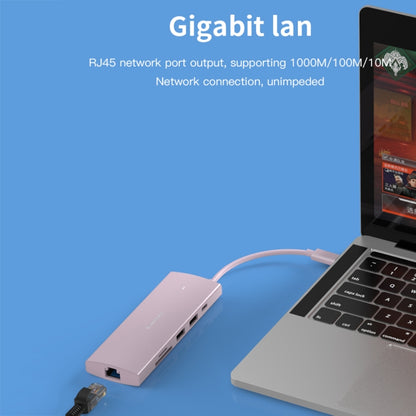 Blueendless 4K60Hz + Gigabit LAN + Data Type-C Docking Station, 6-in-1 Gray, 6-in-1 Pink, 9-in-1 Reading Card Pink, 9-in-1 Reading Card Gray, 9-in-1 Reading Card Blue