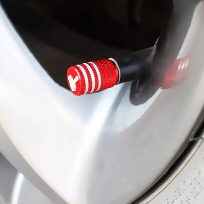 4pcs Laser Ioon Car Tire Modification Universal Valve