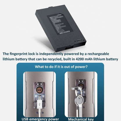 M6 3D Face Recognition Fingerprint Door Lock Support APP Smart IC Card Password Unlock, M6