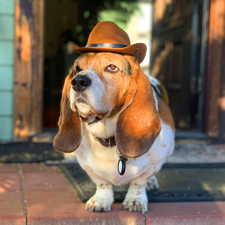 Adjustable Pet Cowboy Hat Dog Cosplay Cap Holiday Costume Party Decoration, S, M