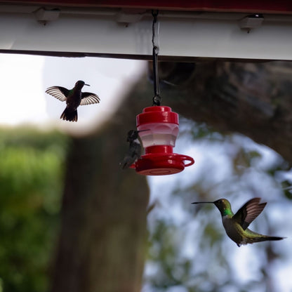 Outdoor Detachable Hanging Bird Feeder