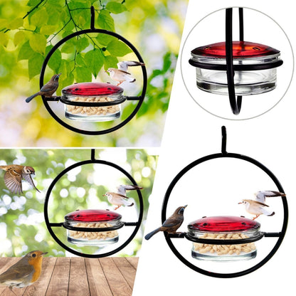 Outdoor Courtyard Garden Hanging Metal Bird Feeder, Black, Red