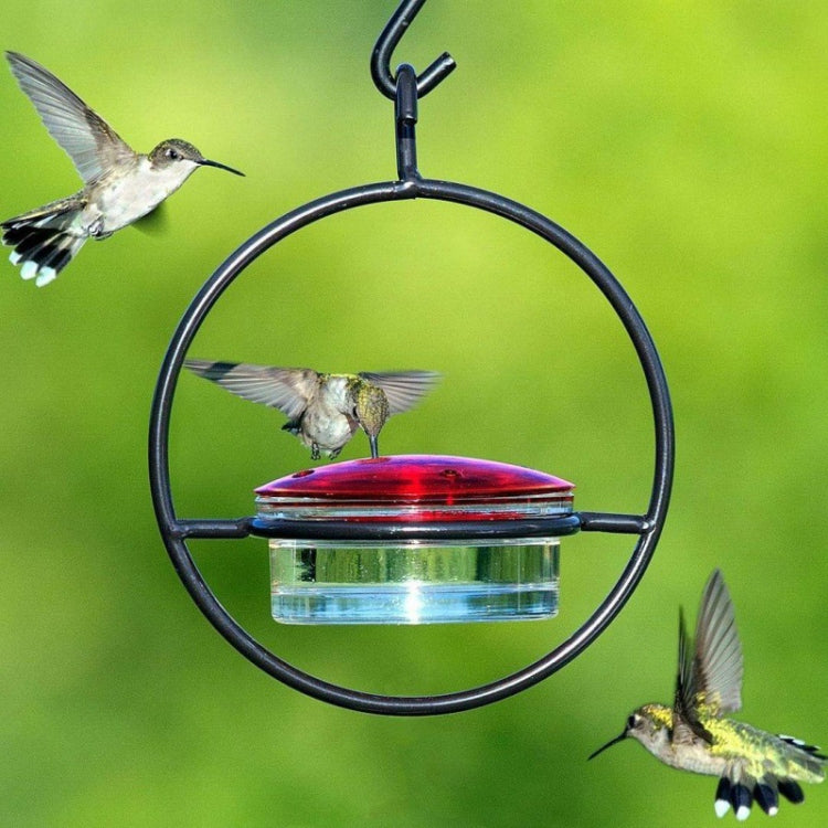 Outdoor Courtyard Garden Hanging Metal Bird Feeder, Black, Red