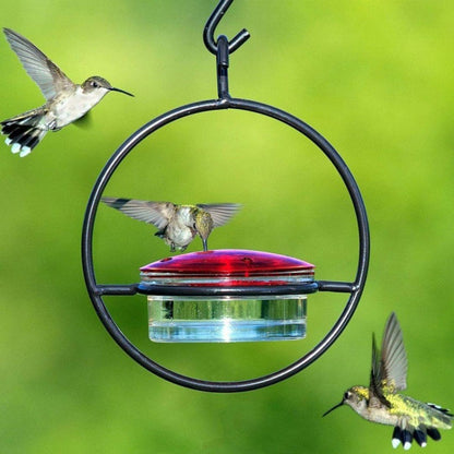 Outdoor Courtyard Garden Hanging Metal Bird Feeder, Black, Red