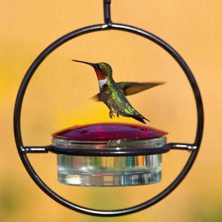 Outdoor Courtyard Garden Hanging Metal Bird Feeder, Black, Red