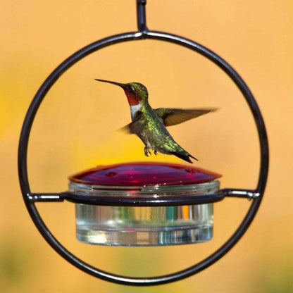 Outdoor Courtyard Garden Hanging Metal Bird Feeder, Black, Red