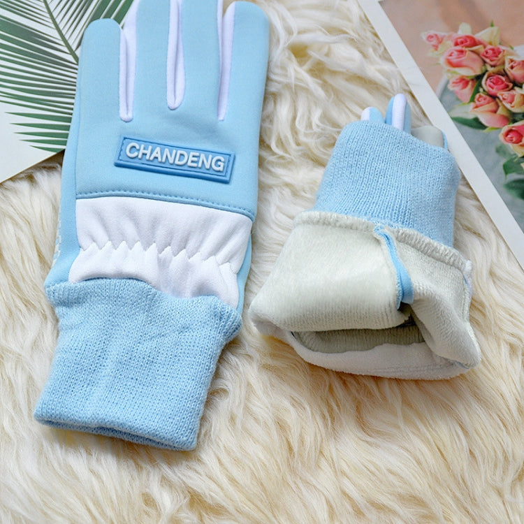 Winter Ski Velvet Warm Gloves Touch Screen Outdoor Riding Waterproof Windproof Gloves, Average