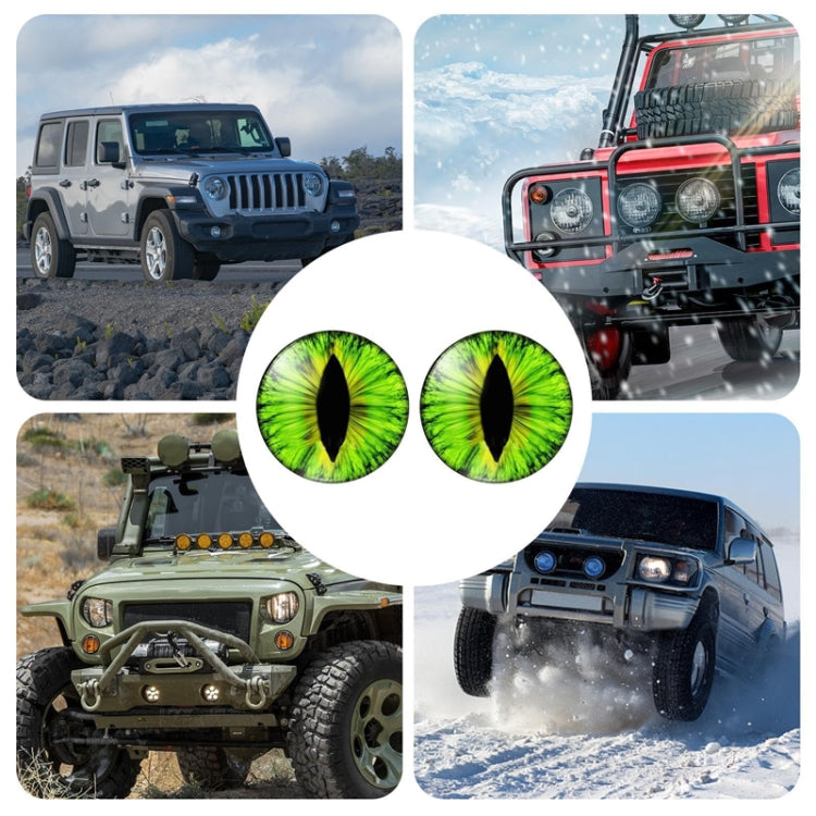1pair Beast Eyes Headlight Decorative Stickers Off-Road Vehicle Front Lights Stereo Decals, 1, 2, 3, 4, 5, 6, 7, 8, 9, 25, 28, 29, 30, 31