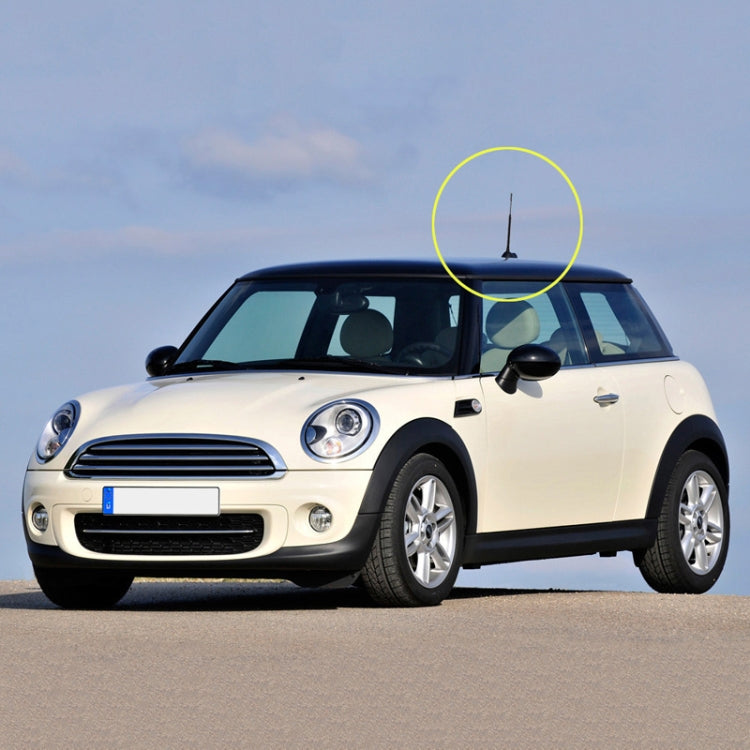 Car FM / AM Signal Amplifier Antenna Pole For Volkswagen / BMW / Toyota, 9 inch, 11 inch, 16 inch