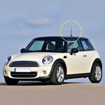 Car FM / AM Signal Amplifier Antenna Pole For Volkswagen / BMW / Toyota, 9 inch, 11 inch, 16 inch