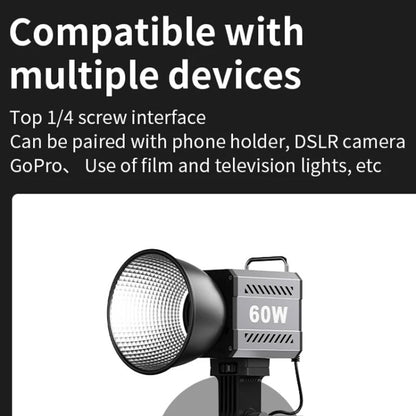 Desiontal ZU-60 60W Hand-Held Camera Light High Power Fill Light, EU Plug, ZU-60