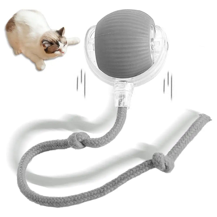 Cat Smart Avoid Ball Toys Electric Teaser Balls