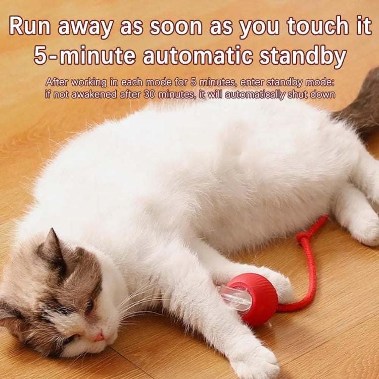 Cat Smart Avoid Ball Toys Electric Teaser Balls