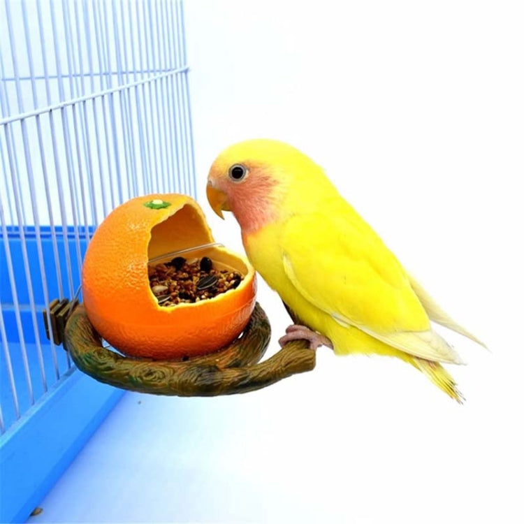 Parrot Spill-Proof Plastic Feeder Fruit Shape Bird Cage Food Cup, Apple, Orange, Pomegranate, Pumpkin, Corn
