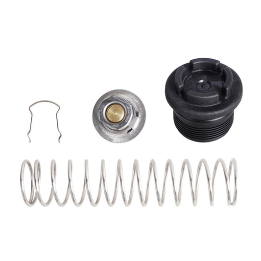 Pool Spa Heating Regulator Replacement Kit For Pentair MasterTemp Sta