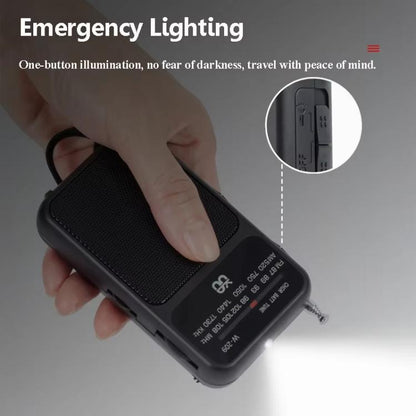 W-209 Mini Portable Rechargeable / Battery Dual-mode Powered Pointer FM Radio with Flashlight