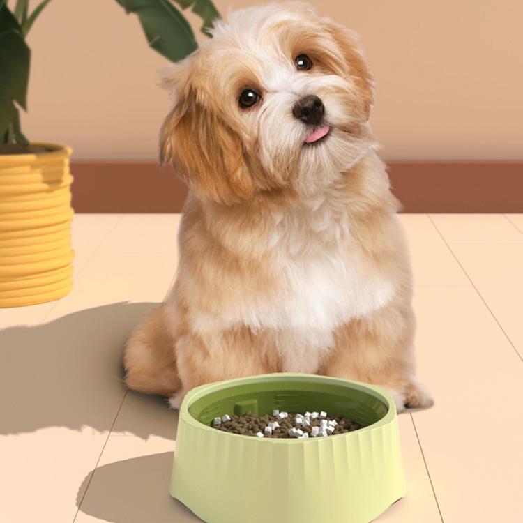 Cats And Dog Anti Spill Slow Feeding Bowl Pet 2 In 1 Non-Slip Food Cup