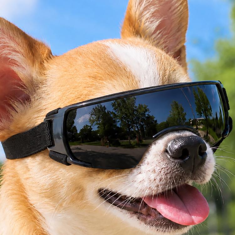 Pet Dog Sunglasses Soft Adjustable Sun Protection Pet Goggles For Small Medium Dogs