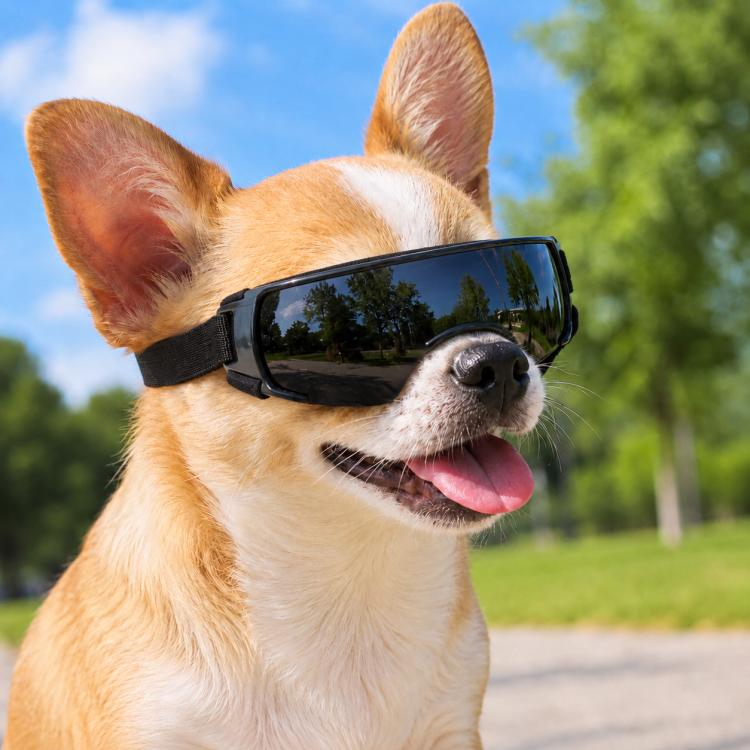 Pet Dog Sunglasses Soft Adjustable Sun Protection Pet Goggles For Small Medium Dogs