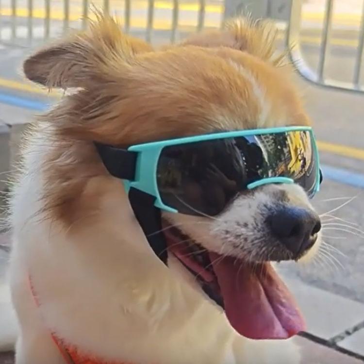 Pet Dog Sunglasses Soft Adjustable Sun Protection Pet Goggles For Small Medium Dogs