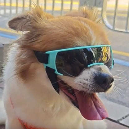 Pet Dog Sunglasses Soft Adjustable Sun Protection Pet Goggles For Small Medium Dogs