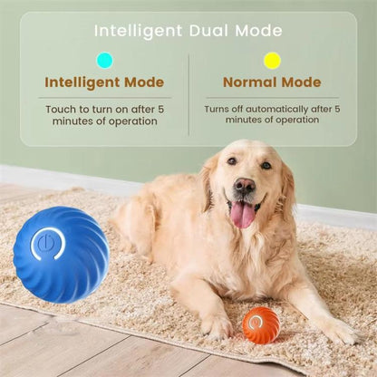 Petgravity Smart Self Rolling Ball Interactive Dog Toys Rechargeable Dog Ball Replaceable Shell, 67mm Blue, 67mm Orange, 56mm Blue, 56mm Orange