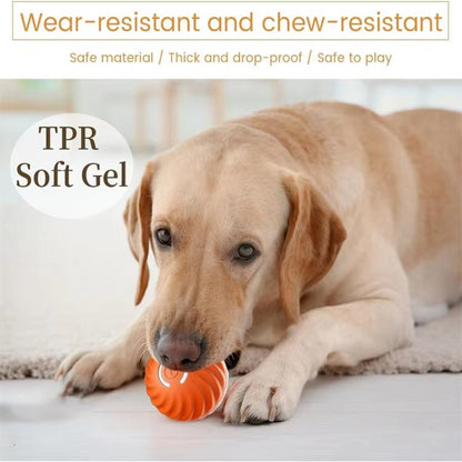Petgravity Smart Self Rolling Ball Interactive Dog Toys Rechargeable Dog Ball Replaceable Shell, 67mm Blue, 67mm Orange, 56mm Blue, 56mm Orange