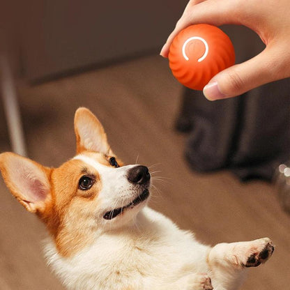 Petgravity Smart Self Rolling Ball Interactive Dog Toys Rechargeable Dog Ball Replaceable Shell, 67mm Blue, 67mm Orange, 56mm Blue, 56mm Orange