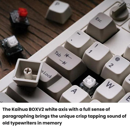 8BitDo Retro87 M Mechanical Keyboard Vintage Wireless Bluetooth / 2.4G / Wired Triple Mode Connection Keyboard, Light Gray Keyboard