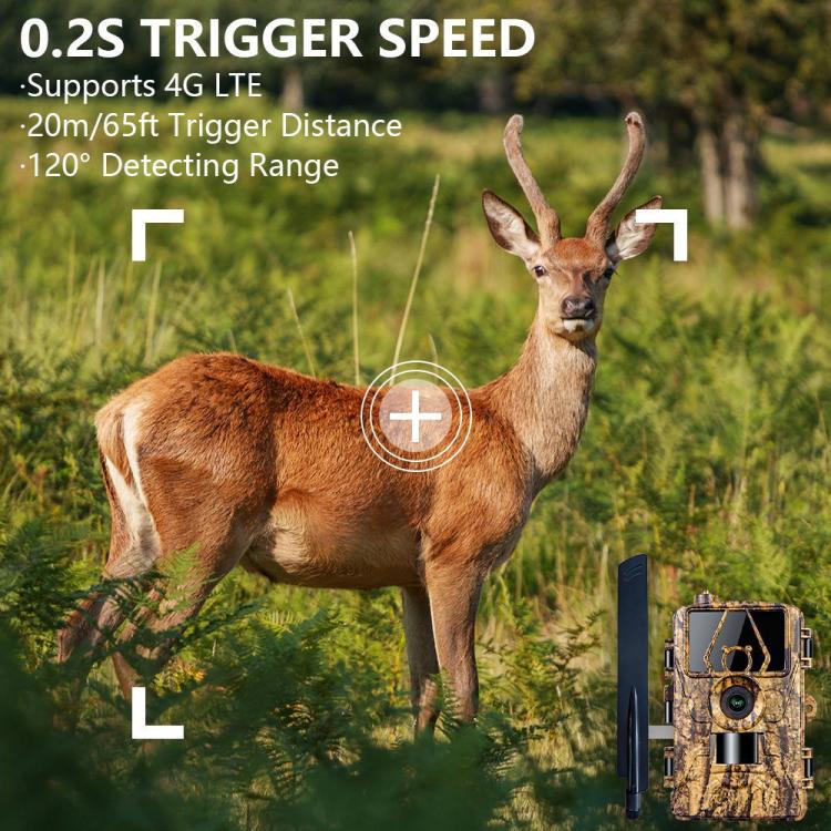 4G Hunting Camera Night Vision SIM Card HD 8K 60MP Photo Video Hunting Camera, PR801LTE European Version, PR801LTE USA  Australia Version