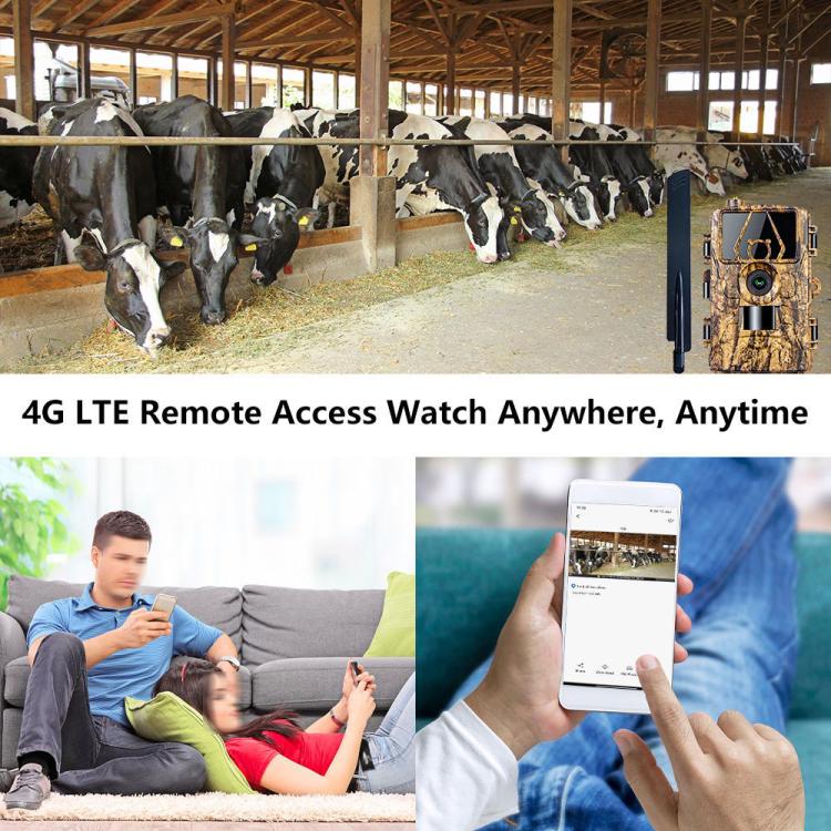 4G Hunting Camera Night Vision SIM Card HD 8K 60MP Photo Video Hunting Camera, PR801LTE European Version, PR801LTE USA  Australia Version