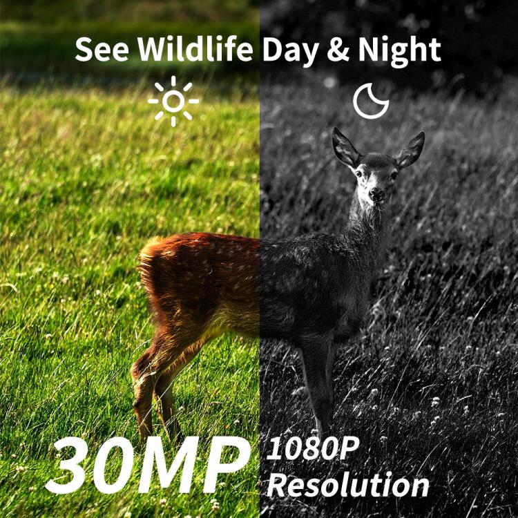 HD Field Camera IR Hunting Camera, PR804LTE