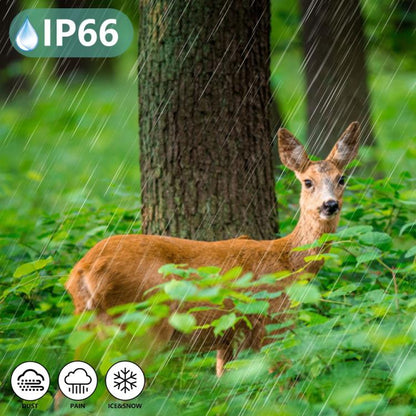 Wifi 8K Hunting Camera Outdoor Day Night Dual-use Photo Recording HD Monitoring, PR802W