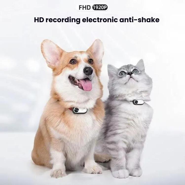 Pet Recorder With Collar Cat Dog View Camera, Direct Record No Memory Card, Direct Record With 16G Memory Card, Direct Record With 32G Memory Card, Direct Record With 64G Memory Card, Direct Record With 128G Memory Card, WiFi No Memory Card