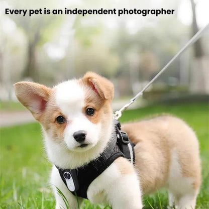 Pet Recorder With Collar Cat Dog View Camera, Direct Record No Memory Card, Direct Record With 16G Memory Card, Direct Record With 32G Memory Card, Direct Record With 64G Memory Card, Direct Record With 128G Memory Card, WiFi No Memory Card