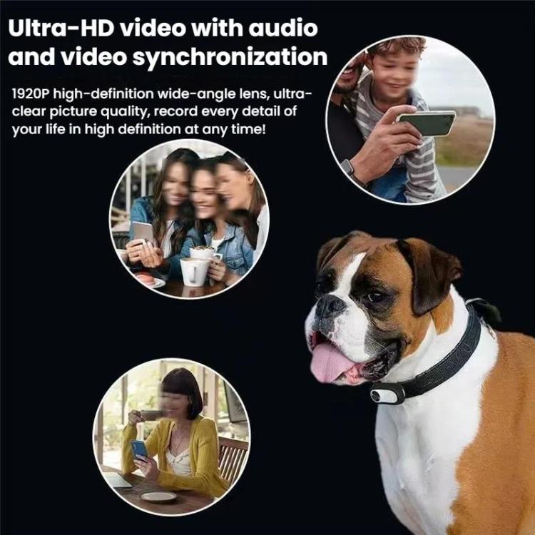 Pet Recorder With Collar Cat Dog View Camera, Direct Record No Memory Card, Direct Record With 16G Memory Card, Direct Record With 32G Memory Card, Direct Record With 64G Memory Card, Direct Record With 128G Memory Card, WiFi No Memory Card