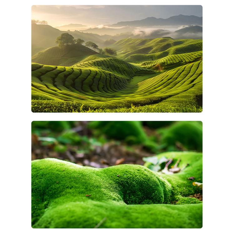 57 x 87cm Double-sided 3D Forest Photography Background Paper Photography Props
